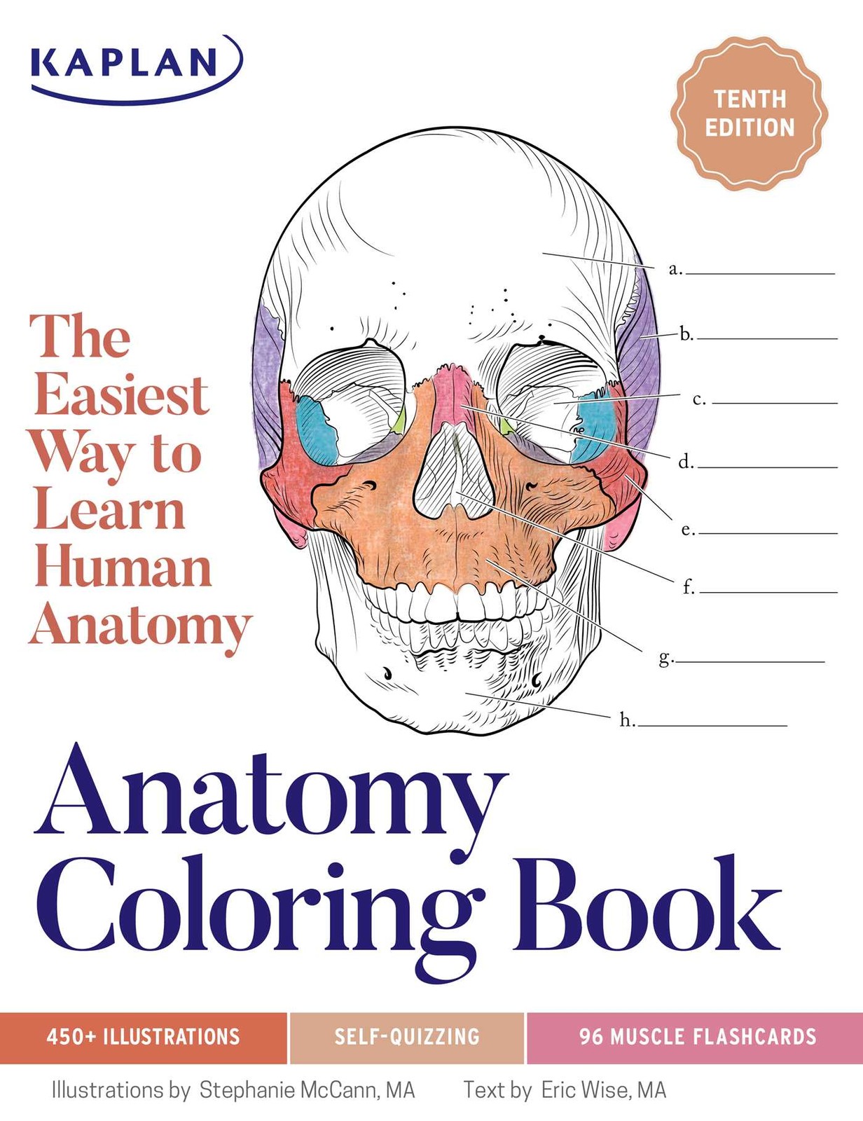 Anatomy Coloring Book with 450+ Realistic Medical Illustrations with Quizzes …