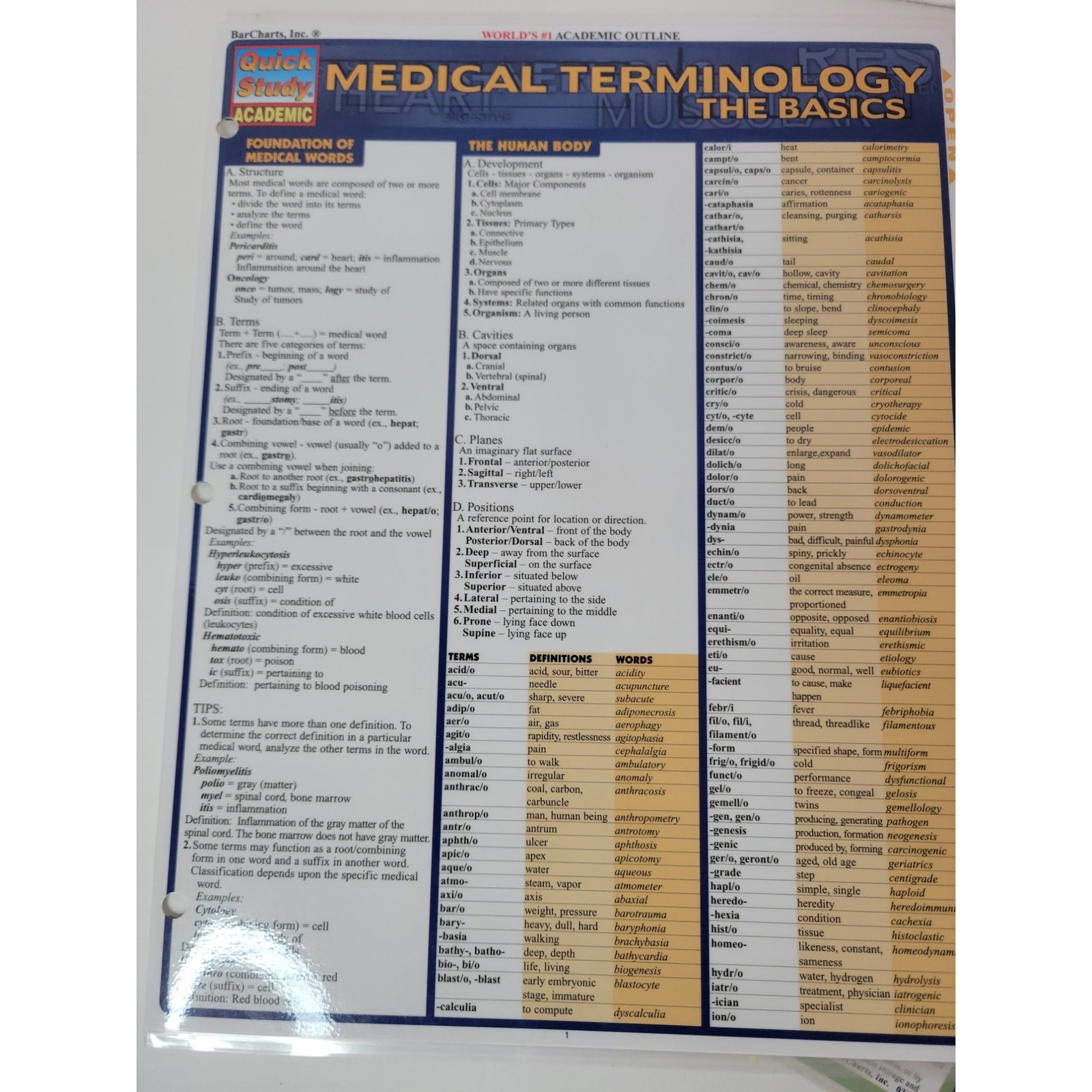Quick study guides – accounting, medical terminology and finance
