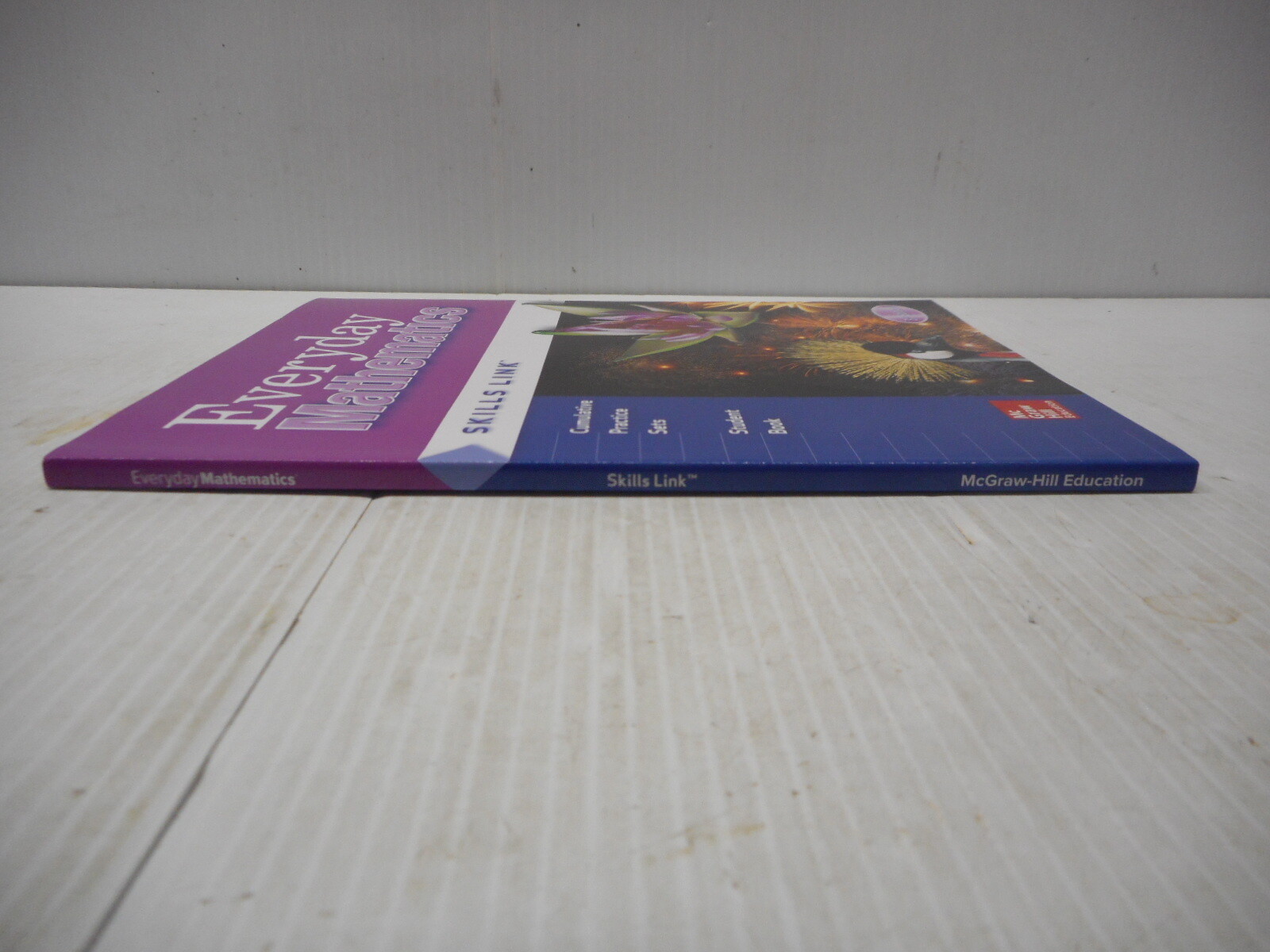 Wright Group/McGraw Hill Everyday Mathematics Skills Link Grade 4 Paperback