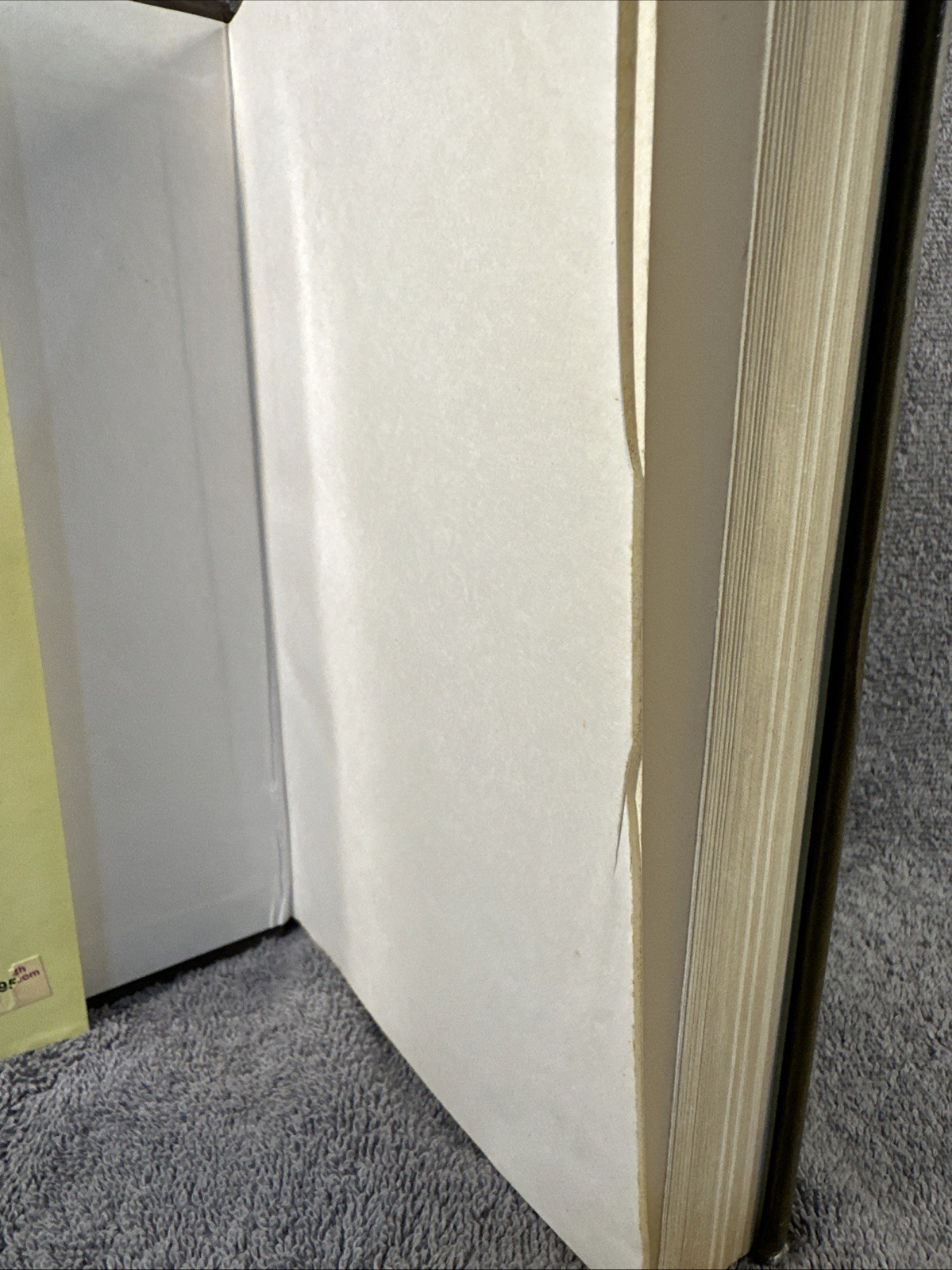 The Dutch Factories in India 1624-1627 HC DJ 2007