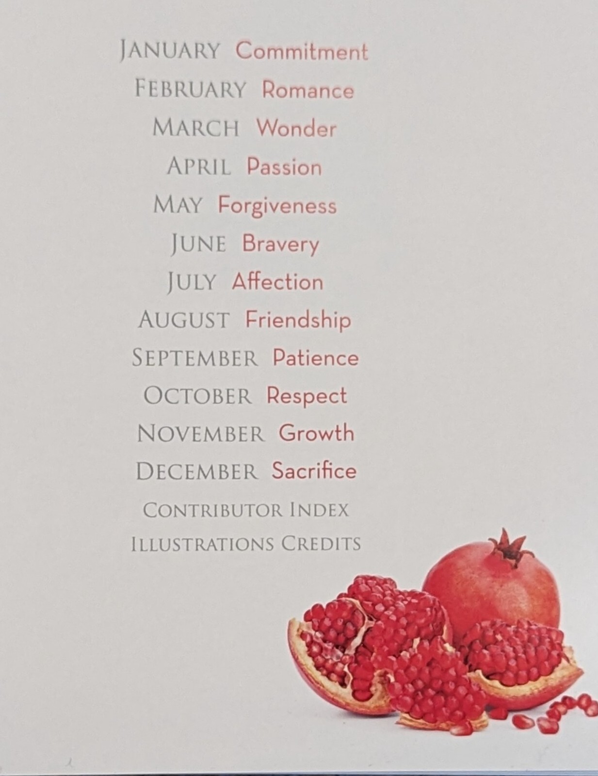Daily Love: 365 Days of Celebration by National Geographic , hardcover