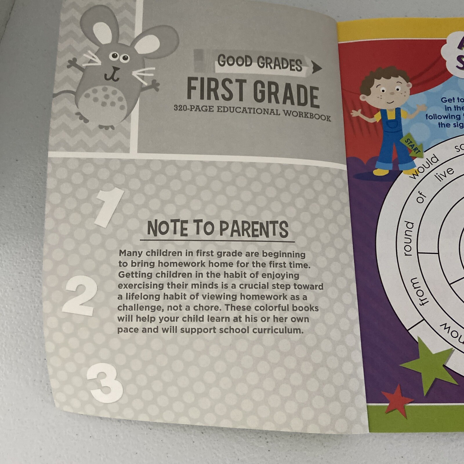 Good Grades Workbook. 1st GRADE. 320 Pages Ages 6-7. 2016. BRAND NEW