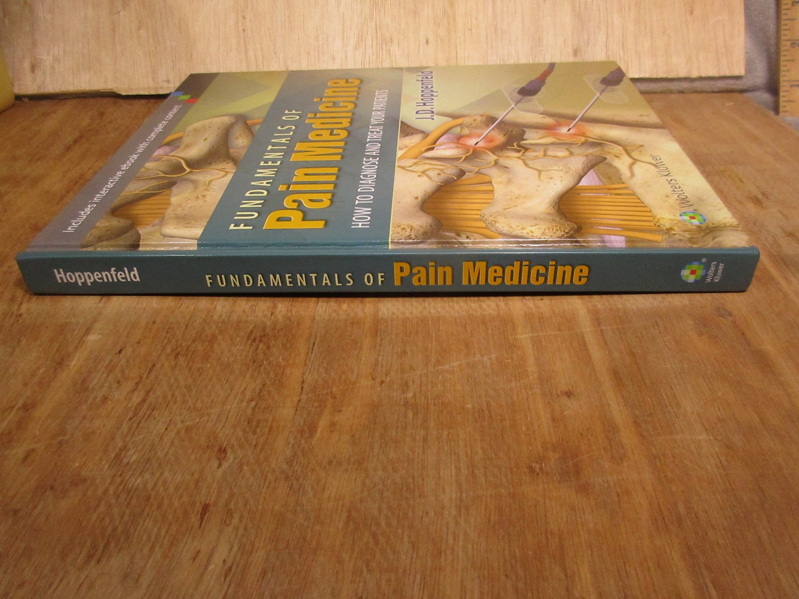 Fundamentals of Pain Medicine: How to Diagnose and Treat Your Patients 2014
