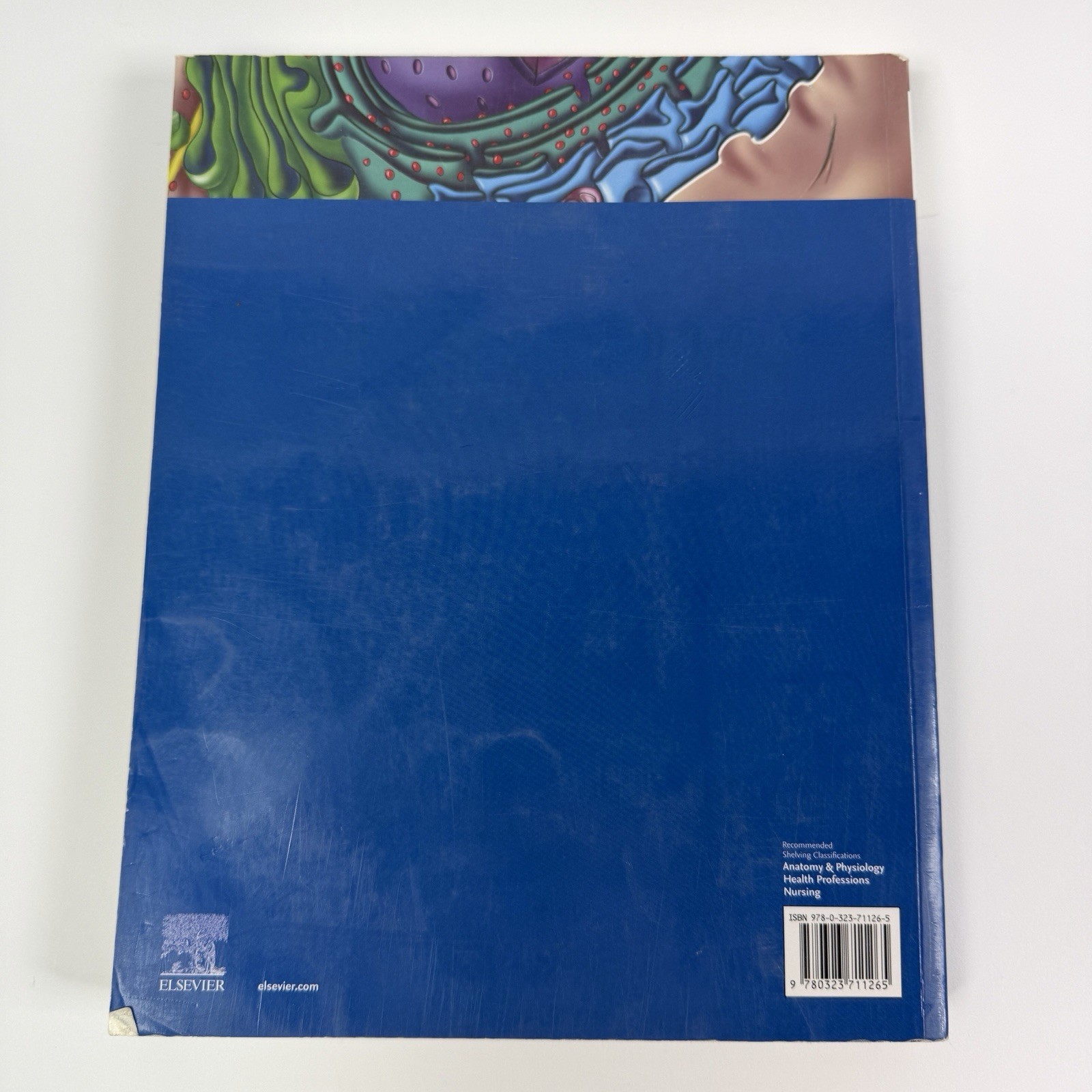 The Human Body in Health and Illness Edition 7 Evolve Herlihy