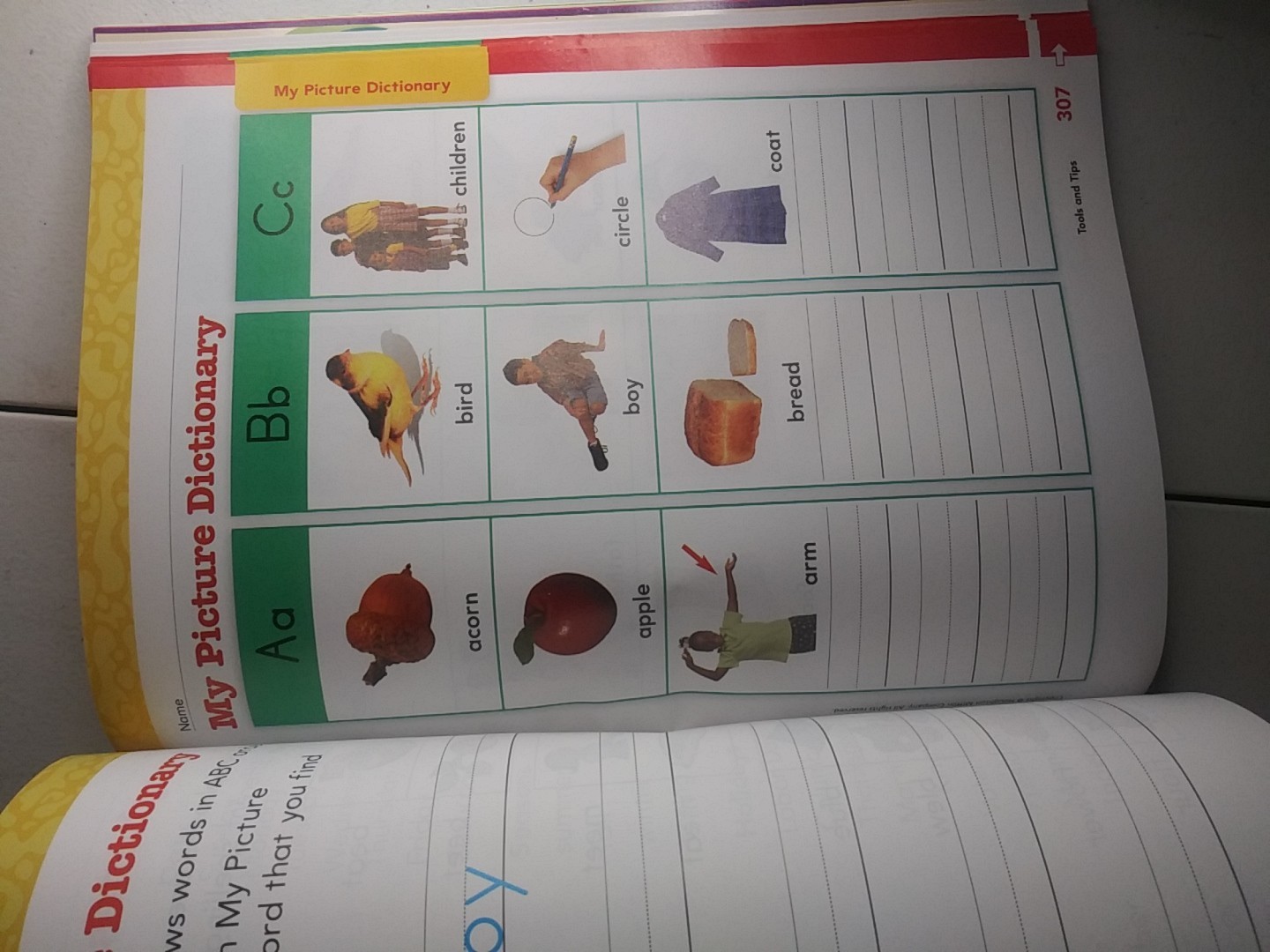 Unused Houghton Mifflin English 1st Grade Homeschool Homework. Workbook