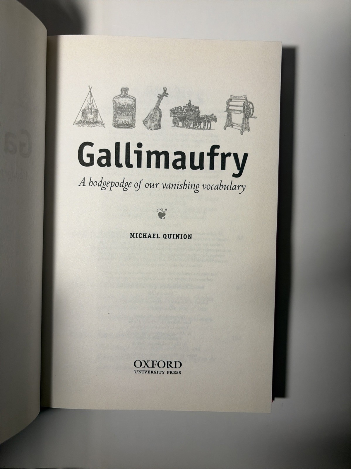 Gallimaufry : A Hodgepodge of Our Vanishing Vocabulary by Michael Quinion (2006,