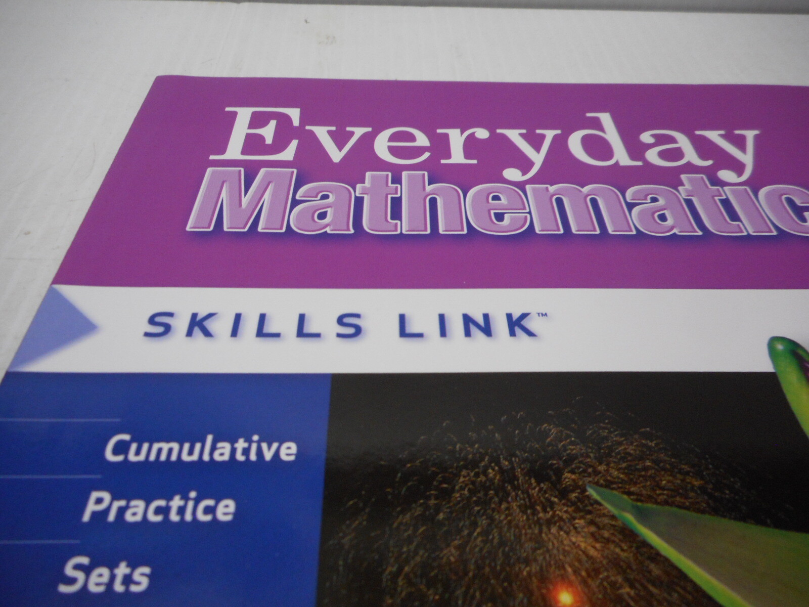 Wright Group/McGraw Hill Everyday Mathematics Skills Link Grade 4 Paperback
