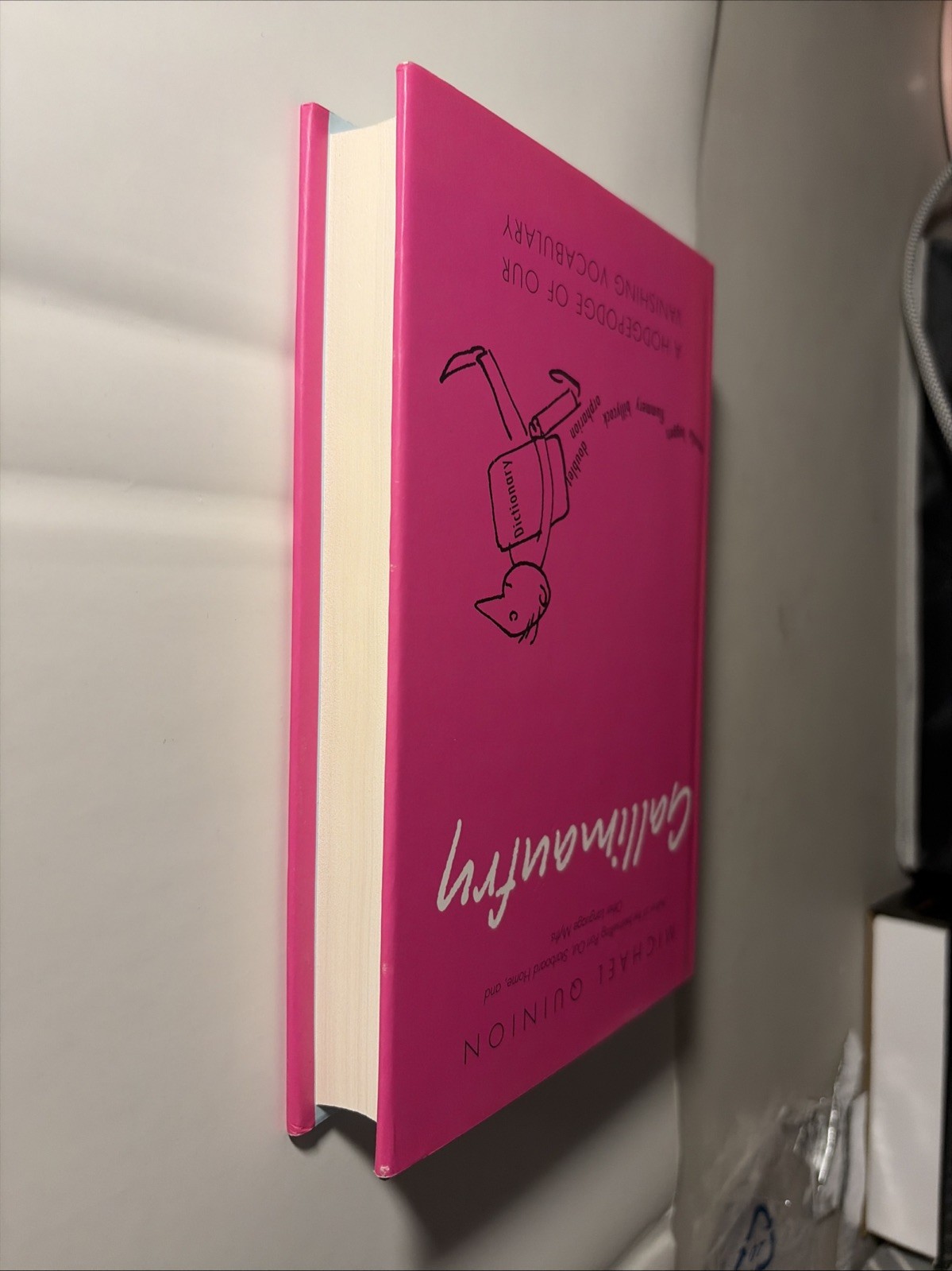 Gallimaufry : A Hodgepodge of Our Vanishing Vocabulary by Michael Quinion (2006,