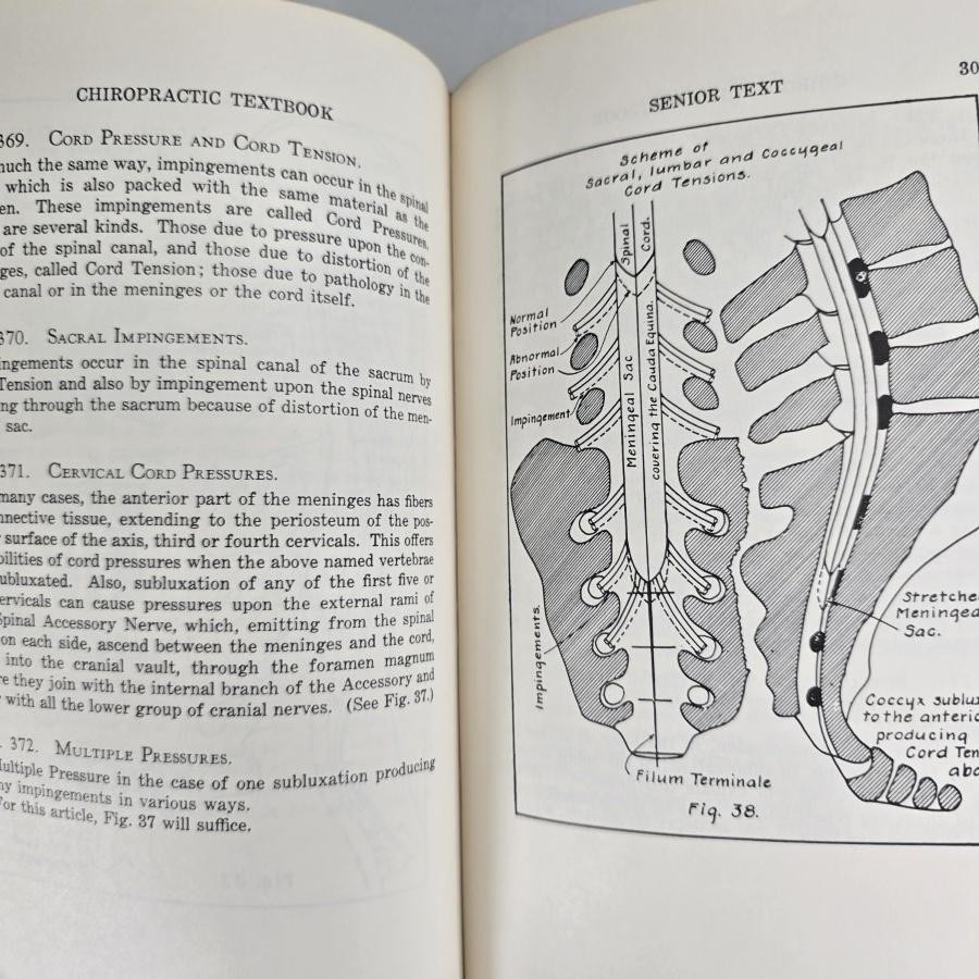 Chiropractic Textbook Ralph W Stephenson Green HB HC Book Palmer 1948 Vintage