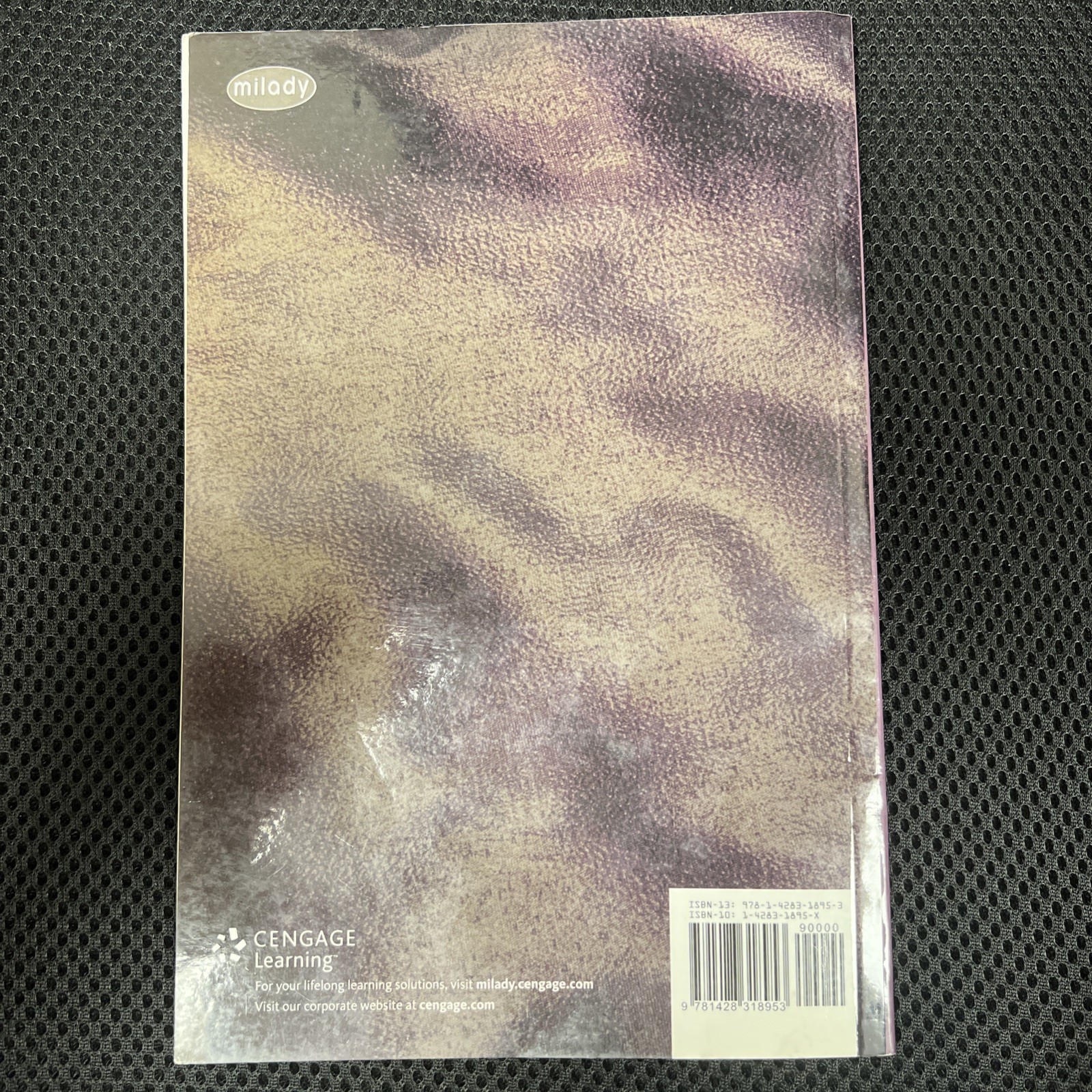 Esthetics : Fundamentals by Joel Gerson and Milady (2008, Trade Paperback)
