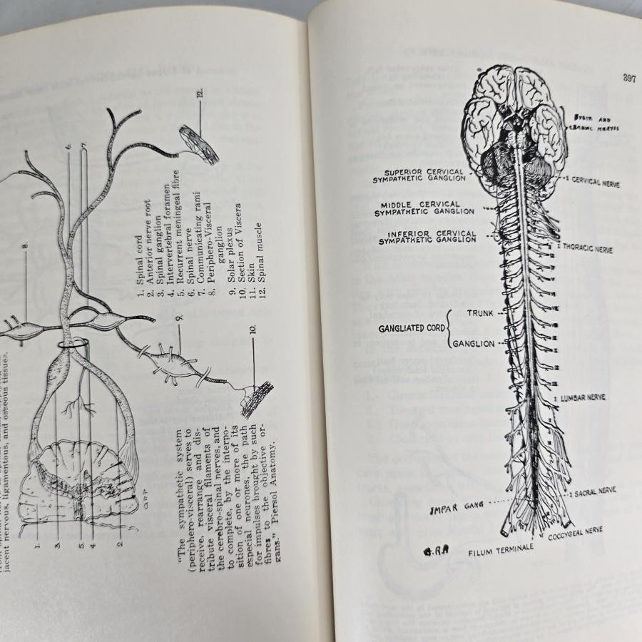 Chiropractic Textbook Ralph W Stephenson Green HB HC Book Palmer 1948 Vintage