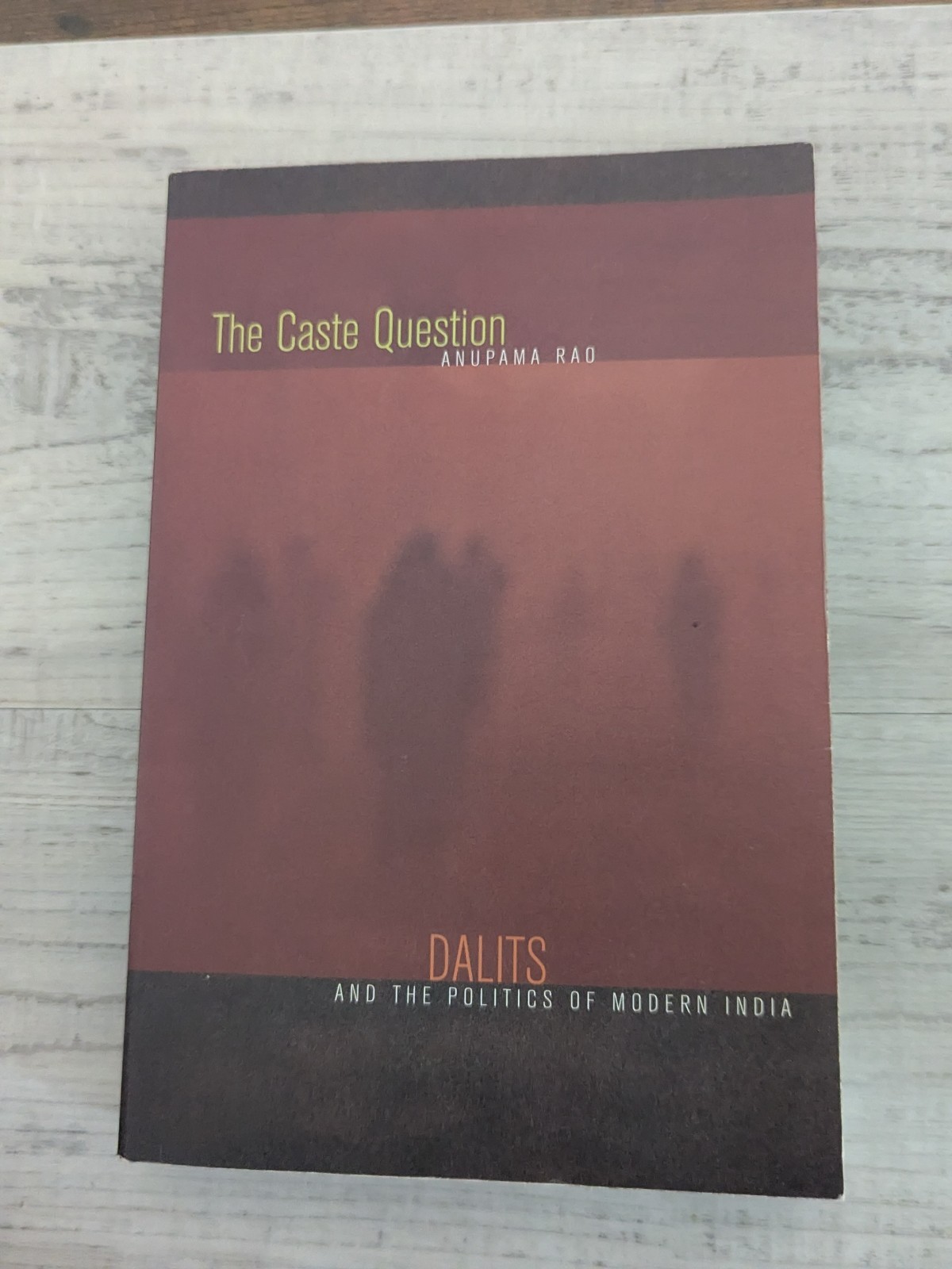The Caste Question: Dalits and the Poliics of Modern India; A. Rao – PB