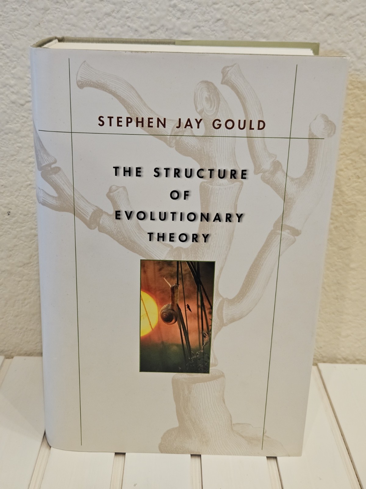 The Structure of Evolutionary Theory Stephen Jay Gould 2002 First Edition HC DJ