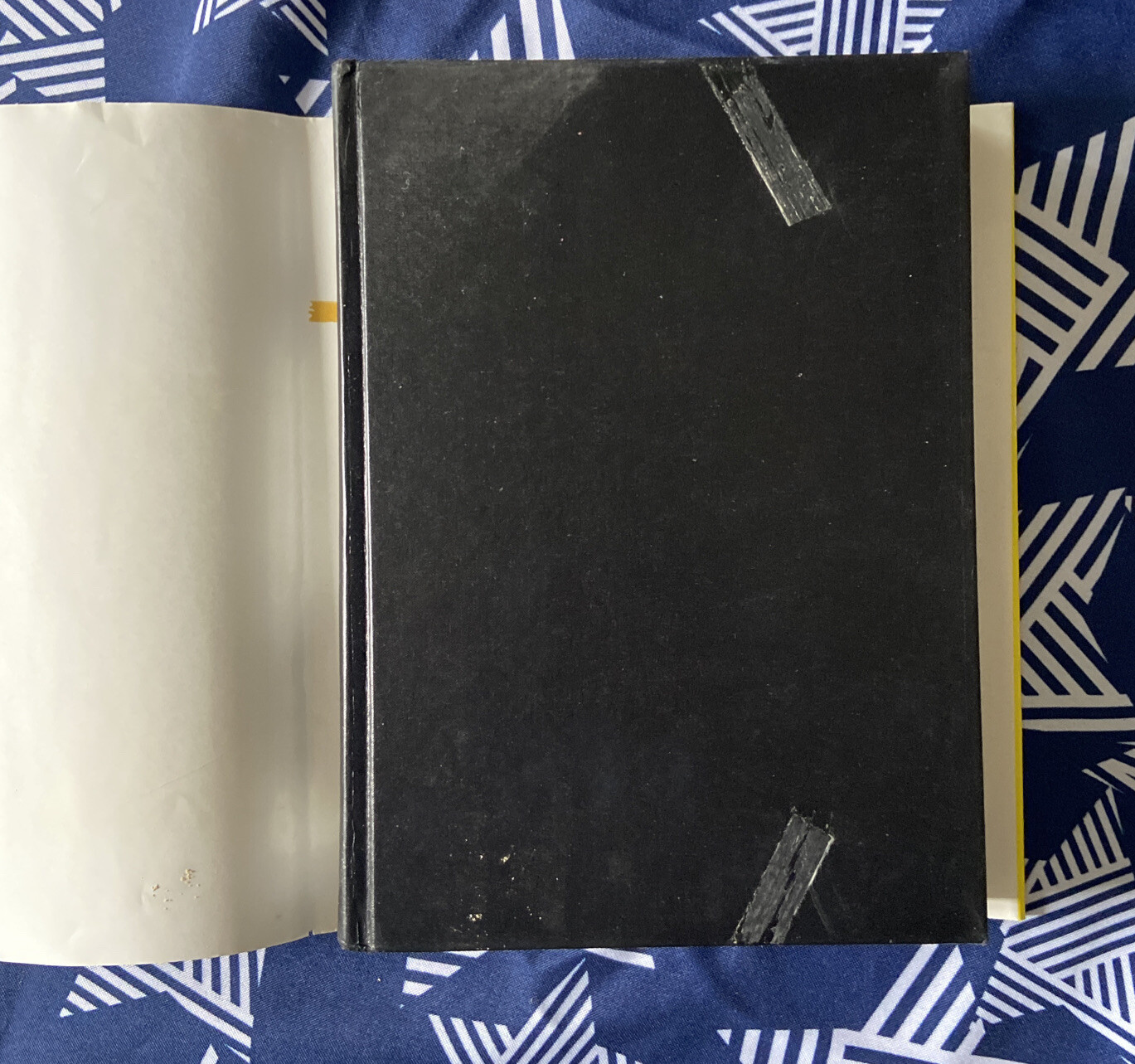 Encyclopedia of Drug Abuse Robert OBrien Sidney Cohen Hardcover dust jacket 1st