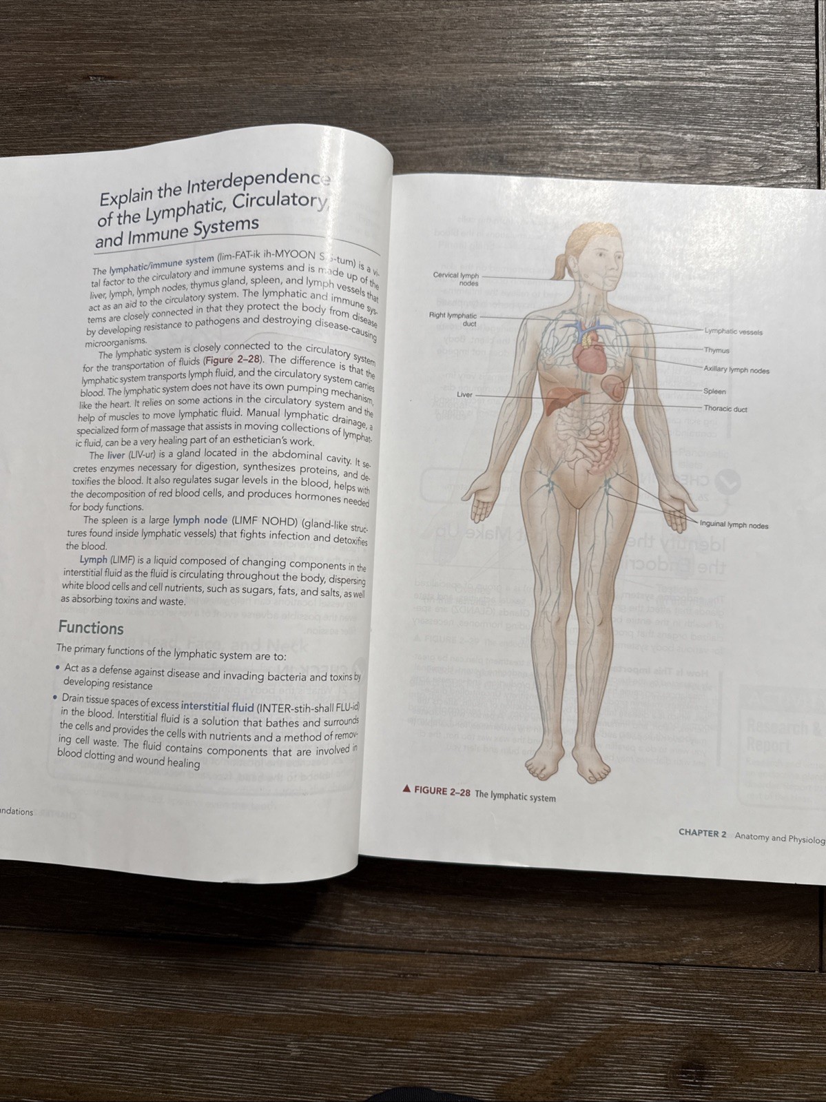 Milady Standard Esthetics : Fundamentals by Gerson and Milady (2020, Hardcover)