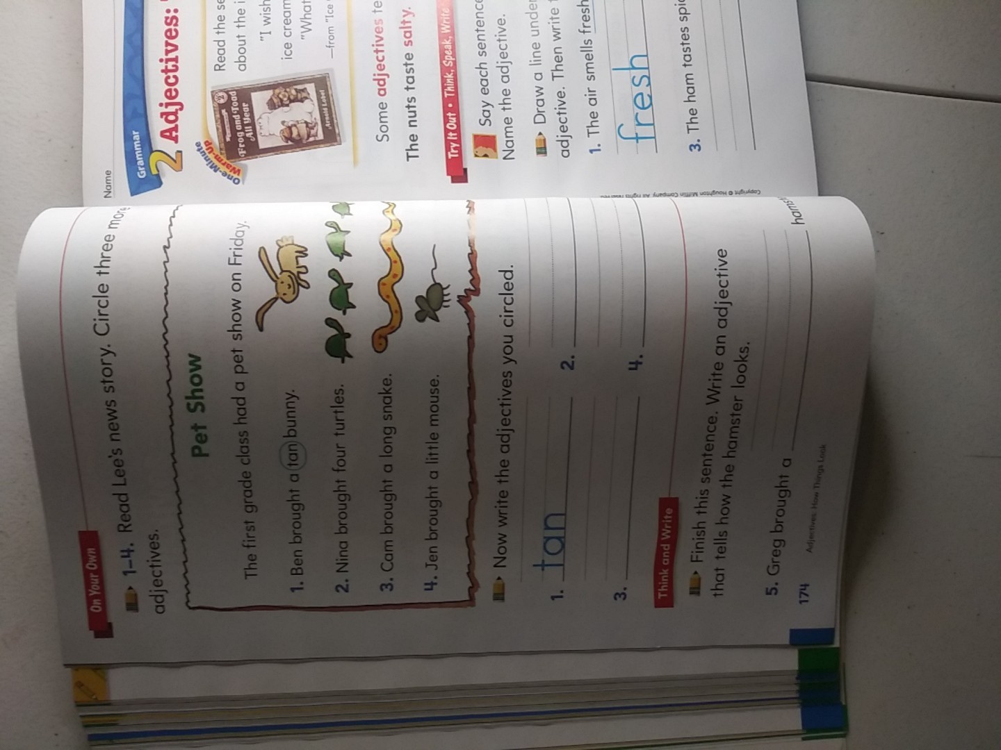 Unused Houghton Mifflin English 1st Grade Homeschool Homework. Workbook