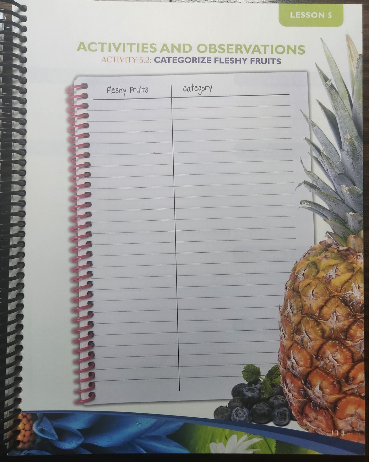 Exploring Creation with Botany Notebooking Journal 2009 Spiral 2nd Edition