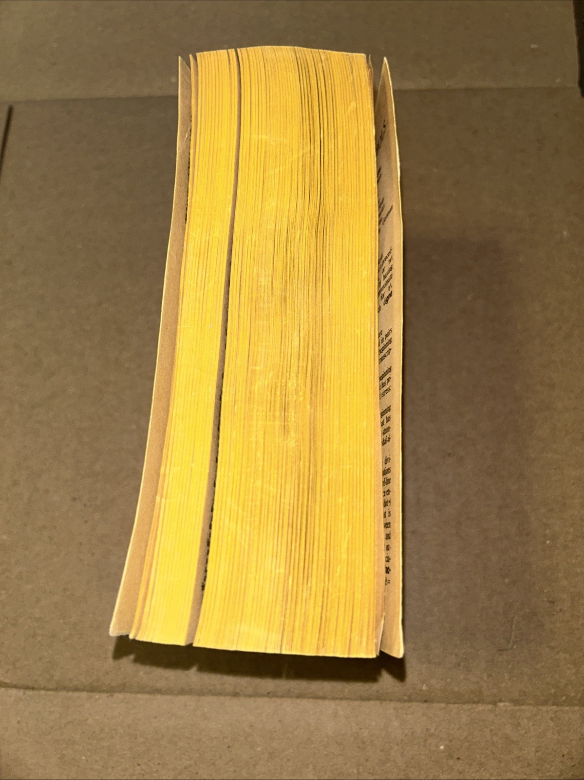 The New Merriam-Webster Dictionary by Merriam-Webster B13