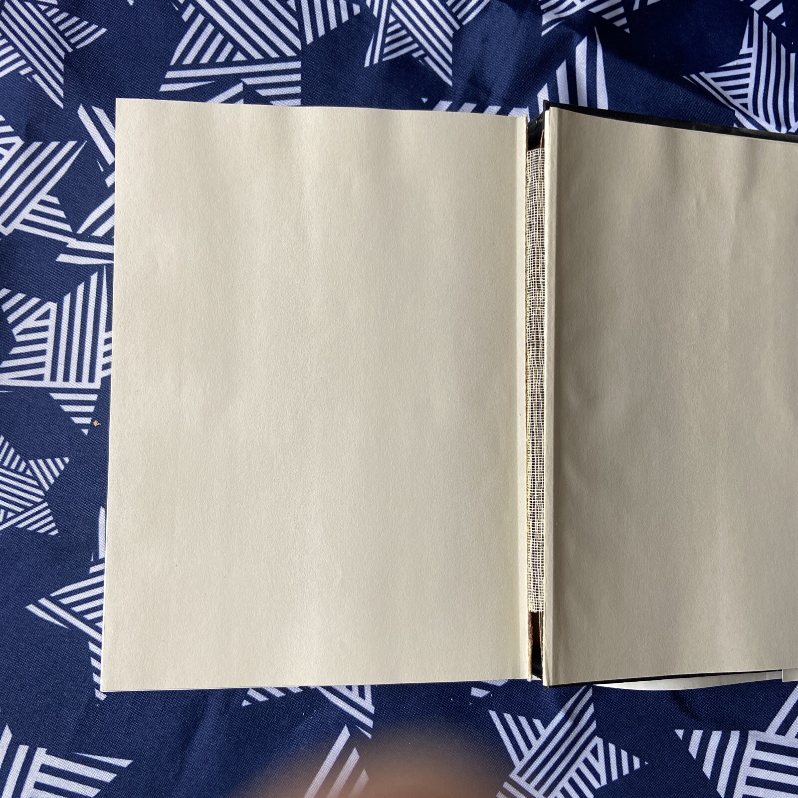 Encyclopedia of Drug Abuse Robert OBrien Sidney Cohen Hardcover dust jacket 1st