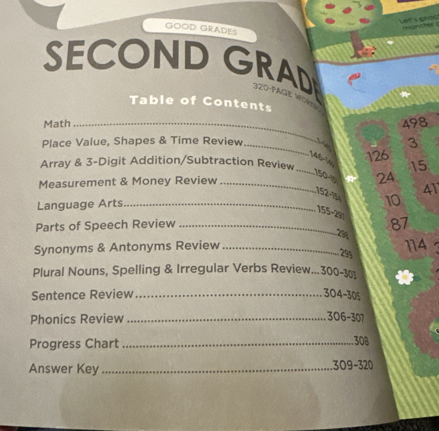 Good Grades Second Grade 320 Page Workbook New