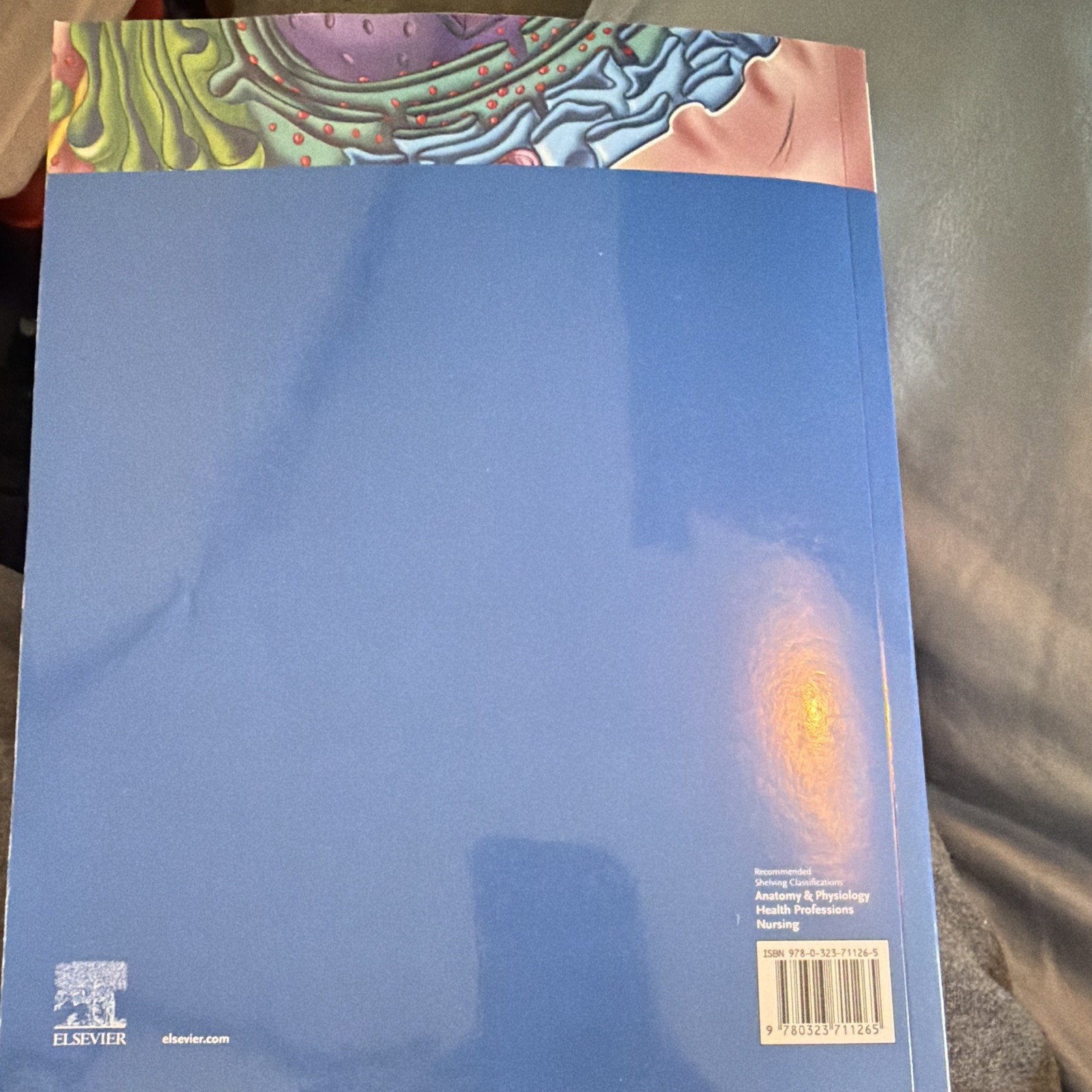 Elsevier The Human Body in Health and Illness 7th Ed 2019 Paperback Herlihy