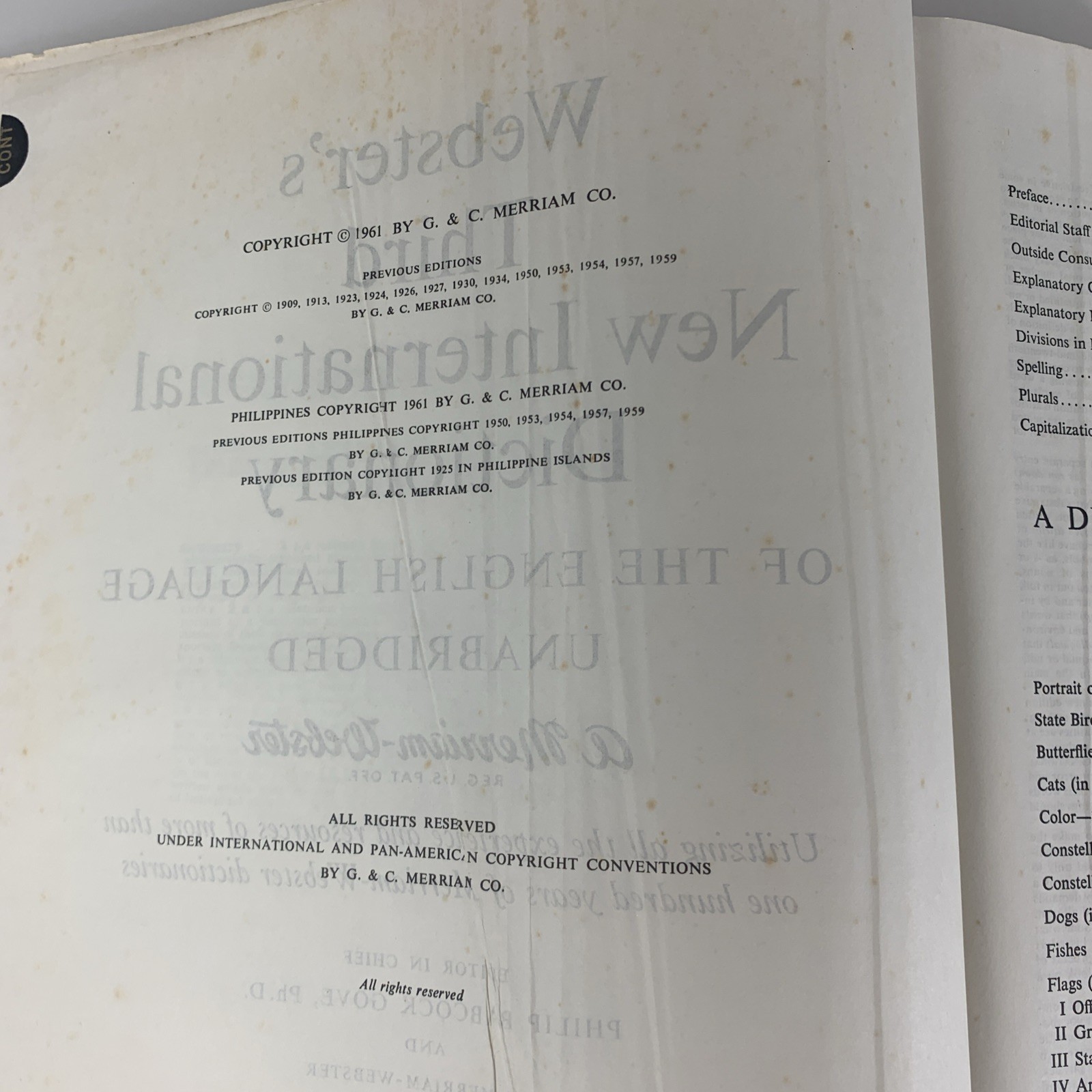 Webster’s Third New International Dictionary Unabridged G&C Merriam 1964 Thumb