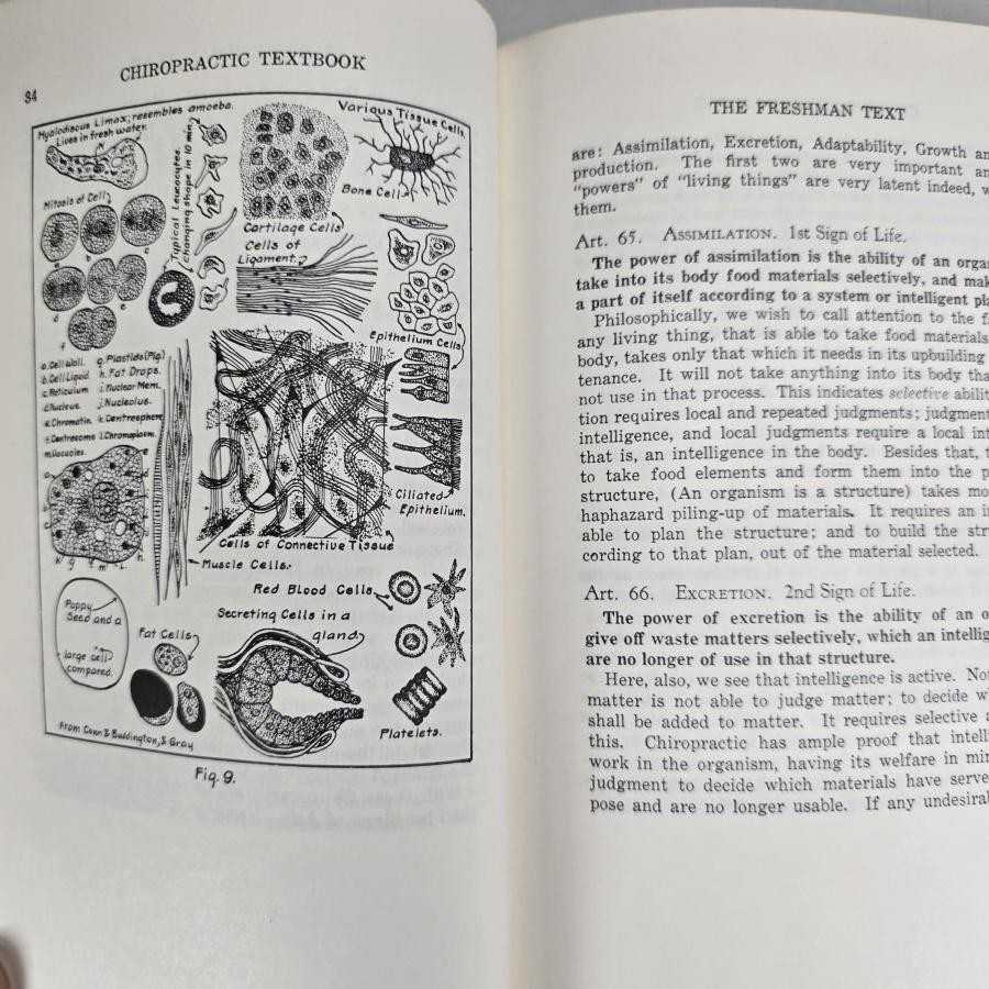 Chiropractic Textbook Ralph W Stephenson Green HB HC Book Palmer 1948 Vintage