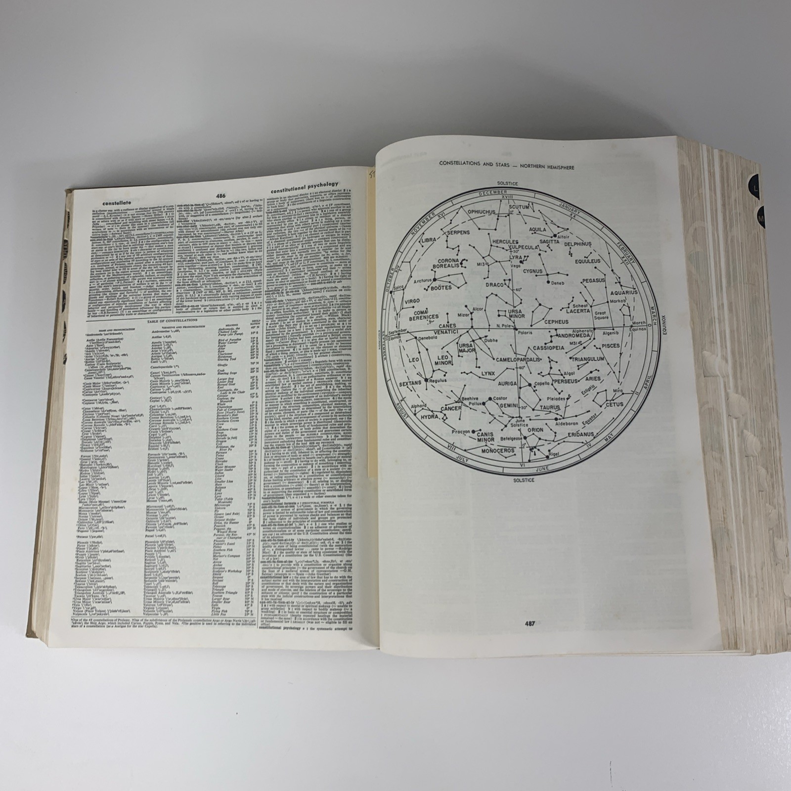 Webster’s Third New International Dictionary Unabridged G&C Merriam 1964 Thumb